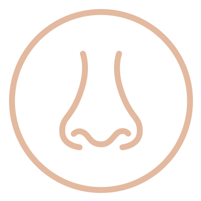 Rinoplastia e Cirurgias Faciais 4 icone rinoplastia